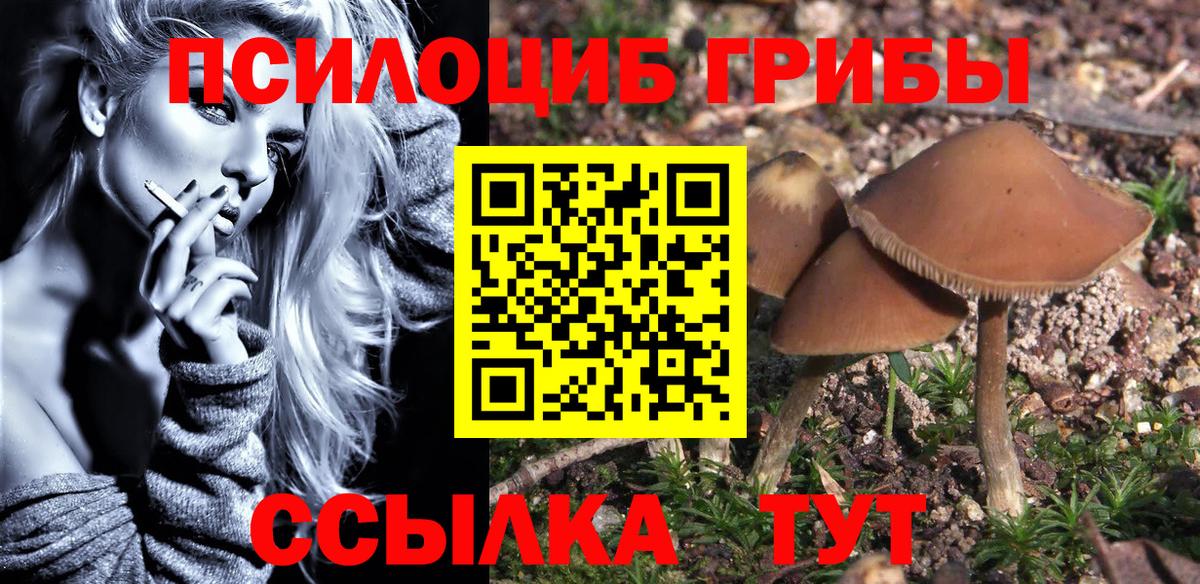 Псилоцибиновые грибы мицелий  Вход с VPN  Усть-Илимск 
